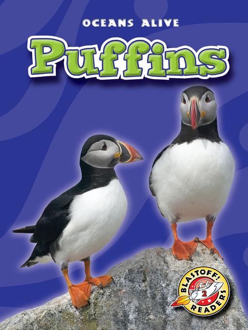 Puffins