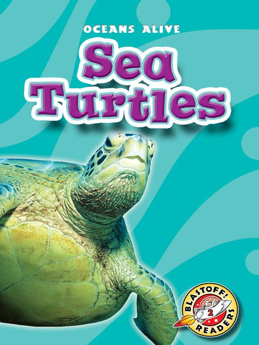 Sea Turtles