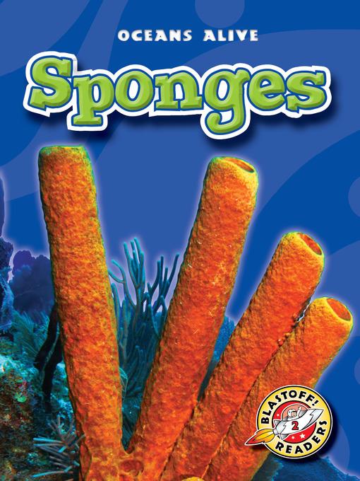 Sponges