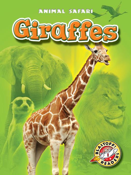 Giraffes