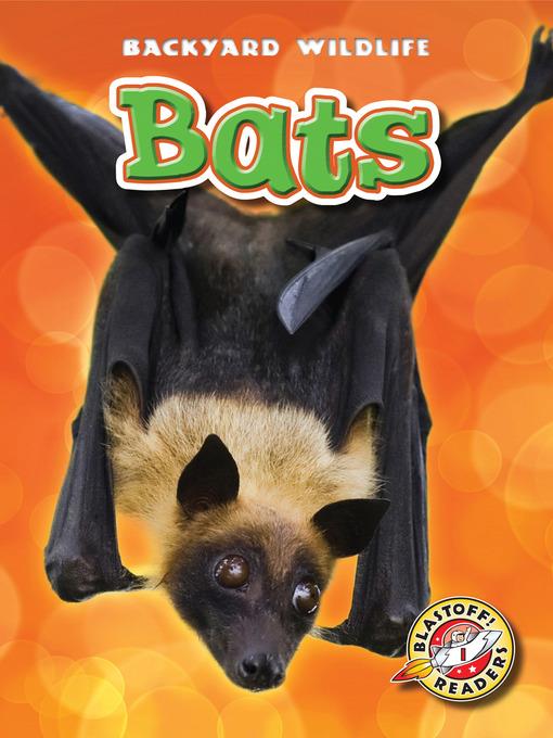 Bats