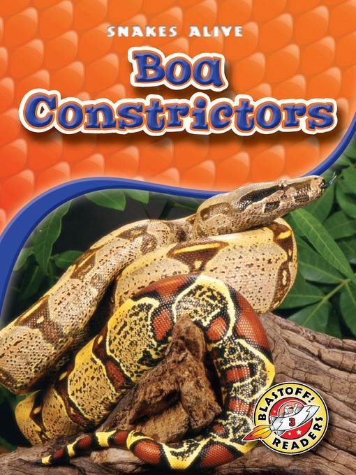 Boa Constrictors