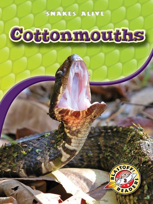 Cottonmouths