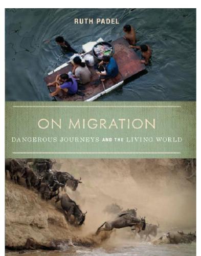 On Migration