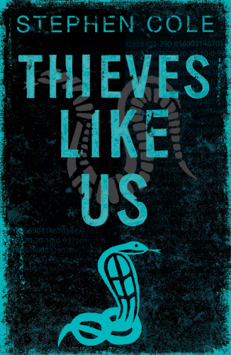 Thieves Like Us