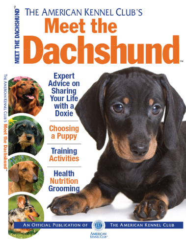 Meet the Dachshund