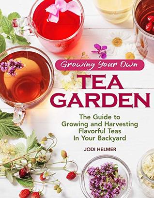 Growing Your Own Tea Garden