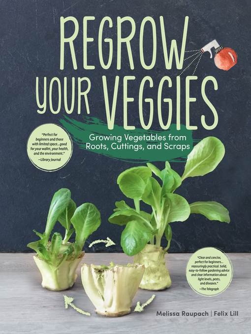 Regrow Your Veggies