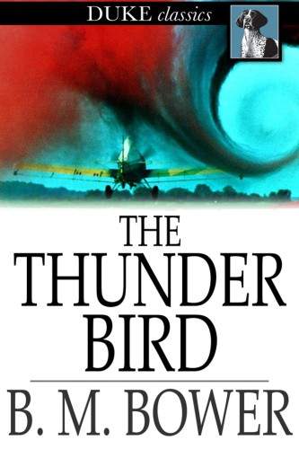 The Thunder Bird