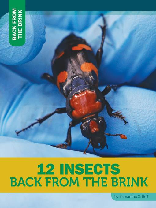 12 Insects Back From the Brink