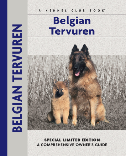 Belgian Tervuren