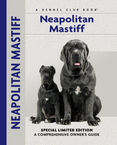 Neapolitan Mastiff