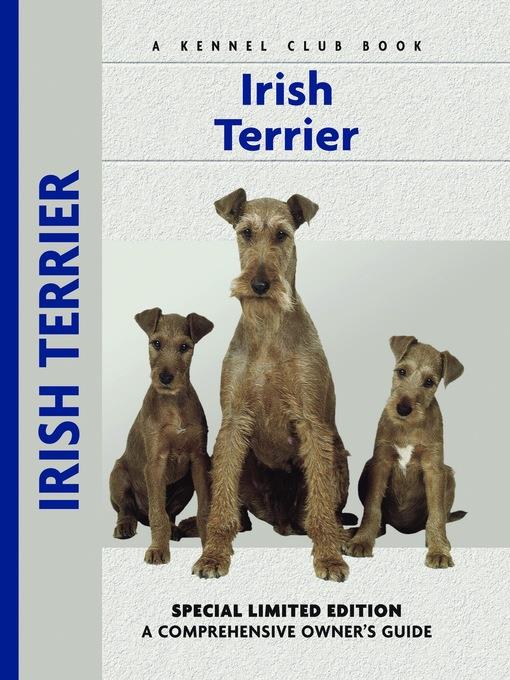 Irish Terrier