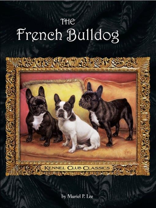 The French Bulldog