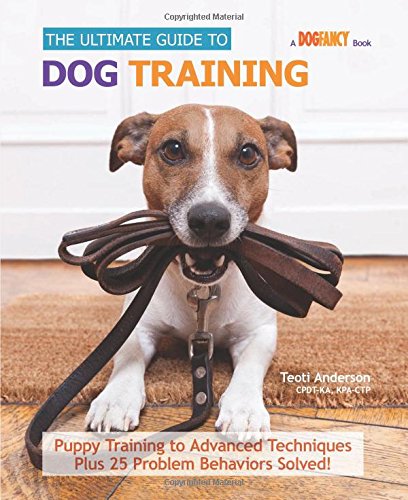 The Ultimate Guide to Dog Training