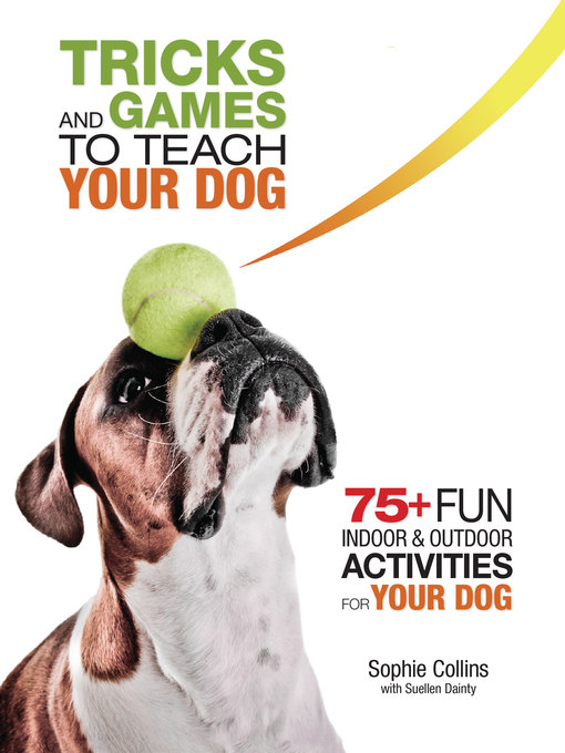 Tricks and Games to Teach Your Dog