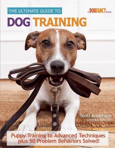 The Ultimate Guide to Dog Training