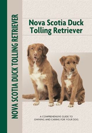 Nova Scotia Duck Tolling Retriever