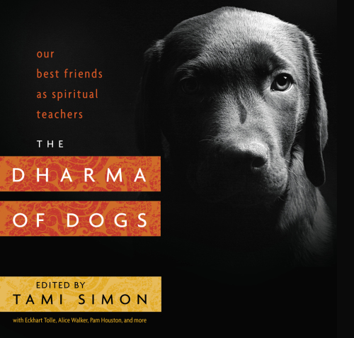 The Dharma of Dogs