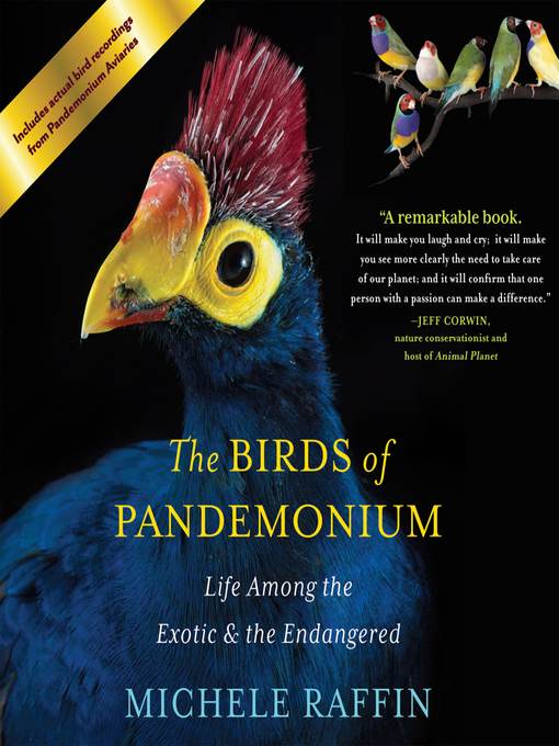 The Birds of Pandemonium