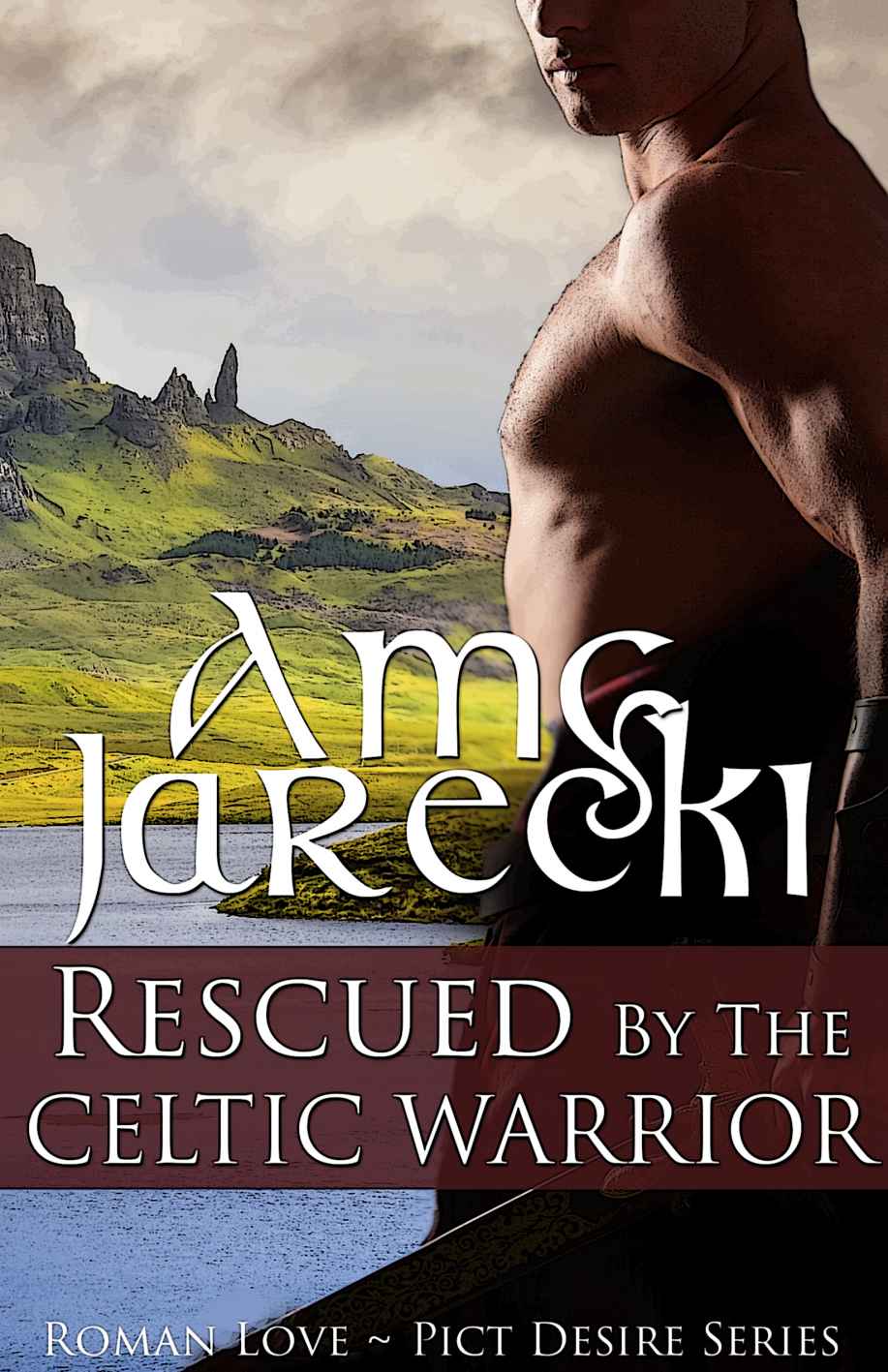 Rescued by the Celtic Warrior