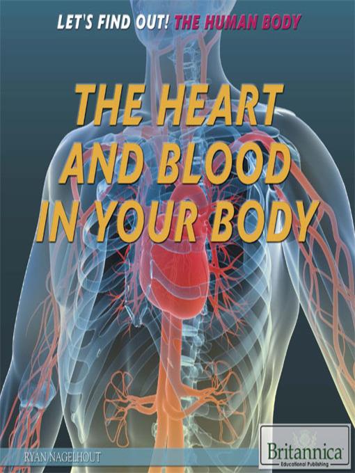 The Heart and Blood in Your Body