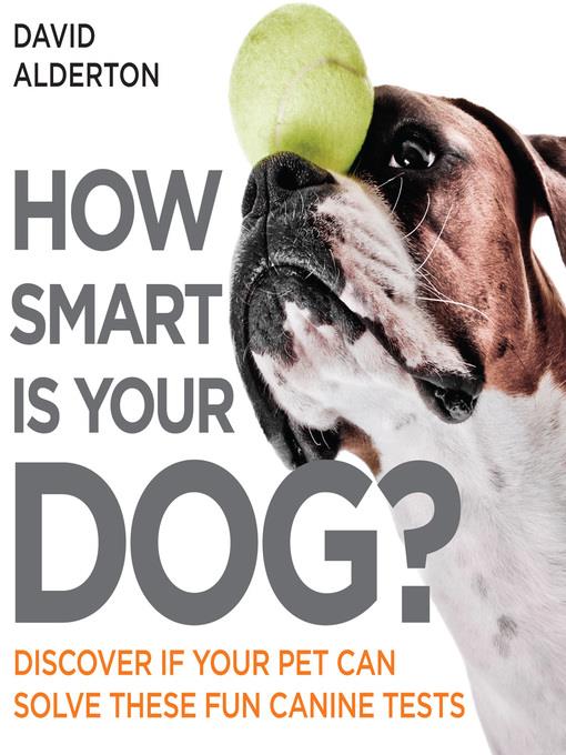 How Smart Is Your Dog?