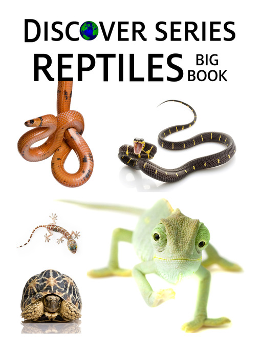 Reptiles Big Book