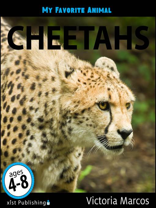 Cheetahs