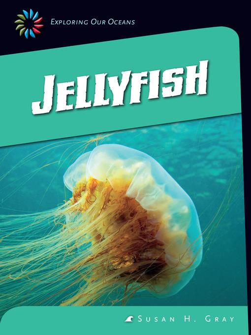 Jellyfish