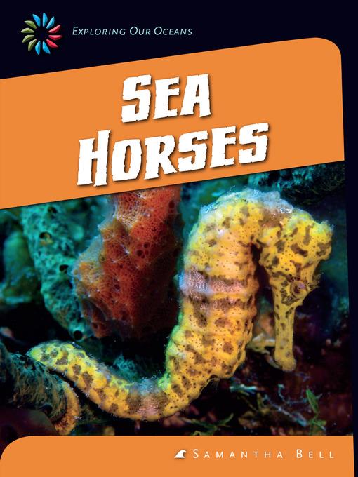 Sea Horses