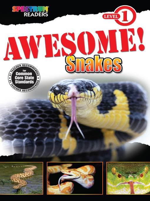 Awesome! Snakes