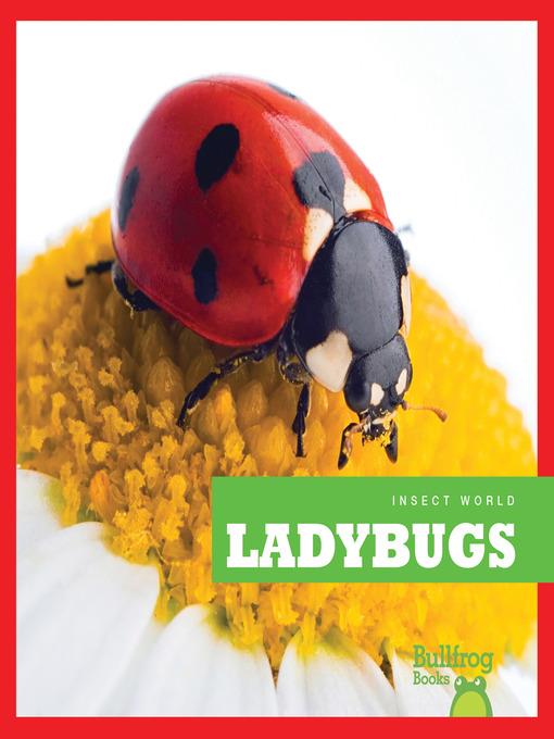 Ladybugs