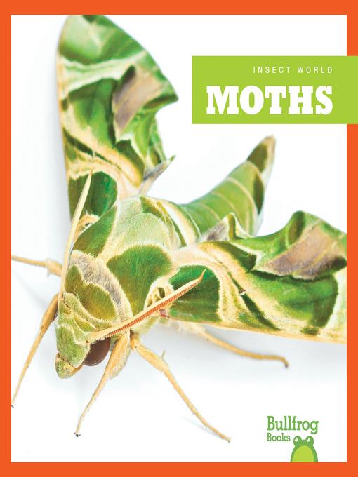 Moths