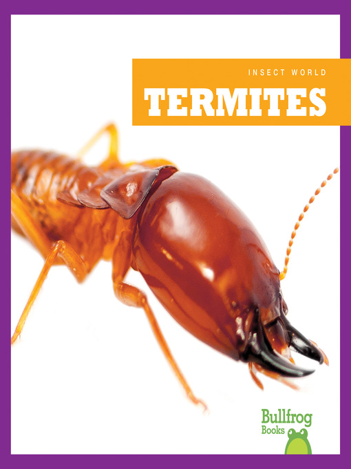 Termites
