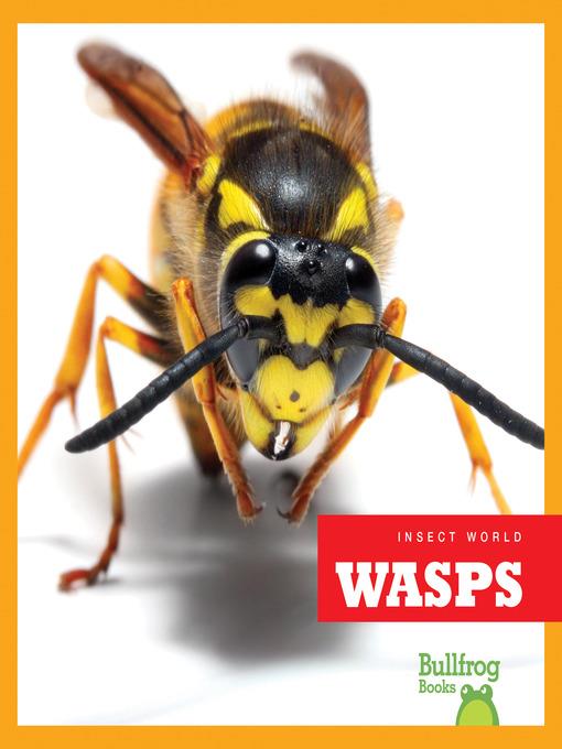 Wasps