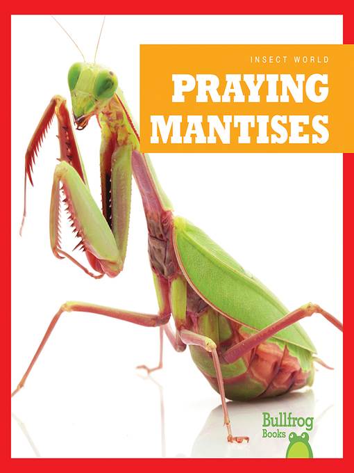 Praying Mantises