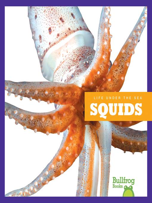 Squids