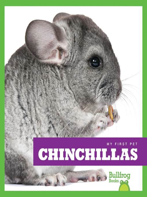 Chinchillas