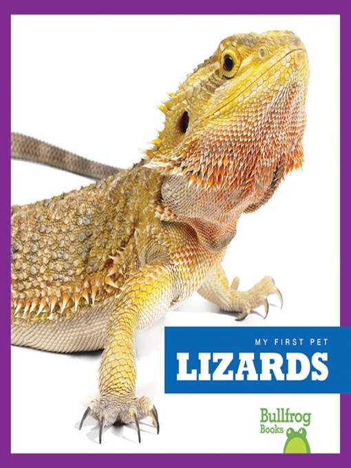 Lizards