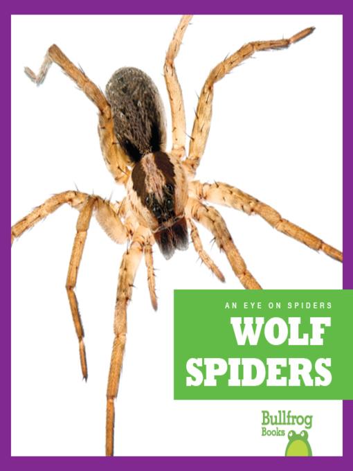 Wolf Spiders