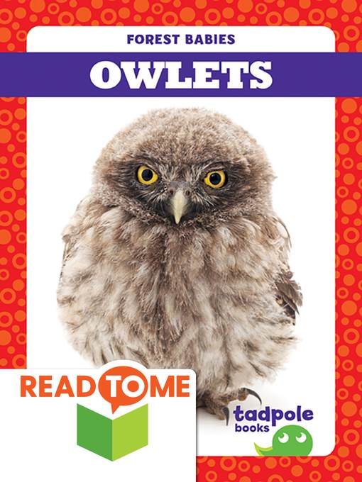 Owlets (Readalong Edition)