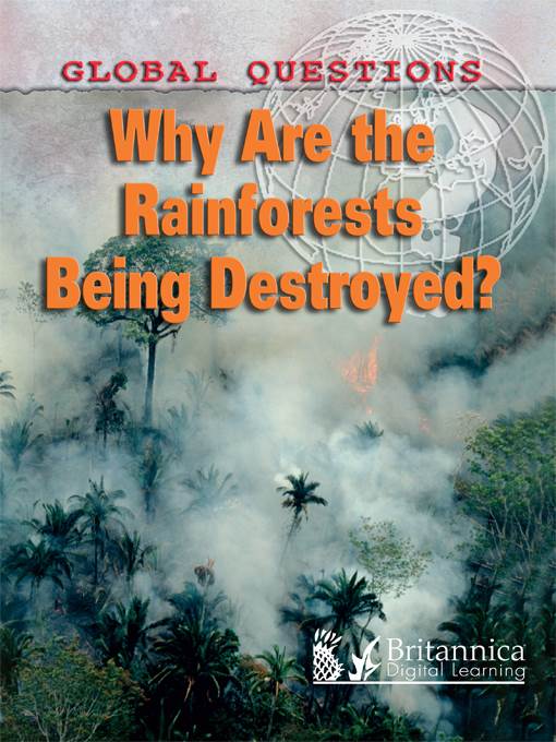 Why Are the Rain Forests Being Destroyed?