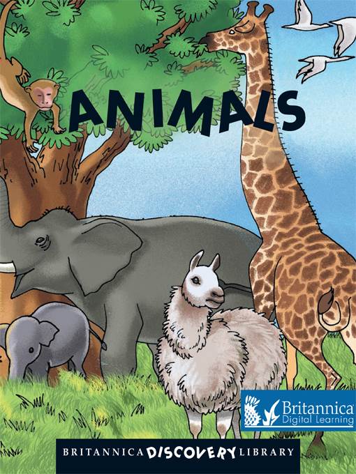 Animals