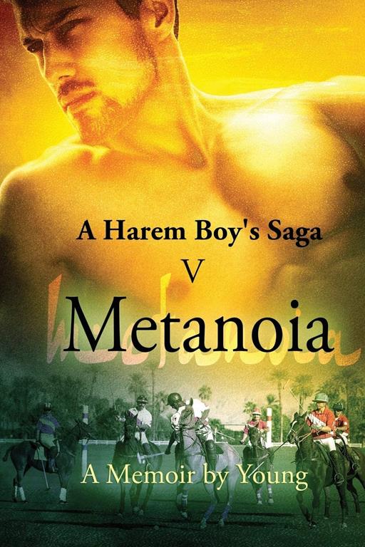 Metanoia (A Harem Boy's Saga)