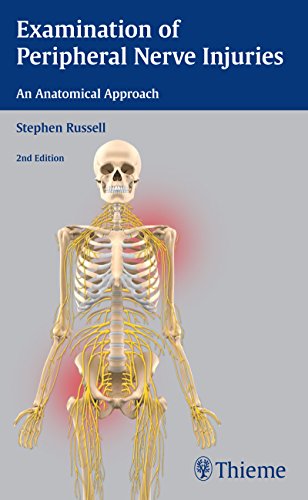 Examination of Peripheral Nerve Injuries An Anatomical Approach