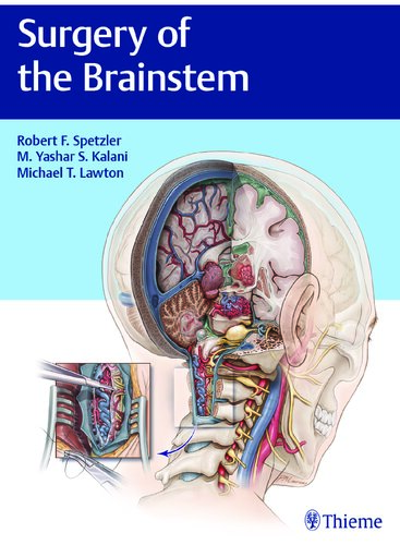 Surgery of the brainstem