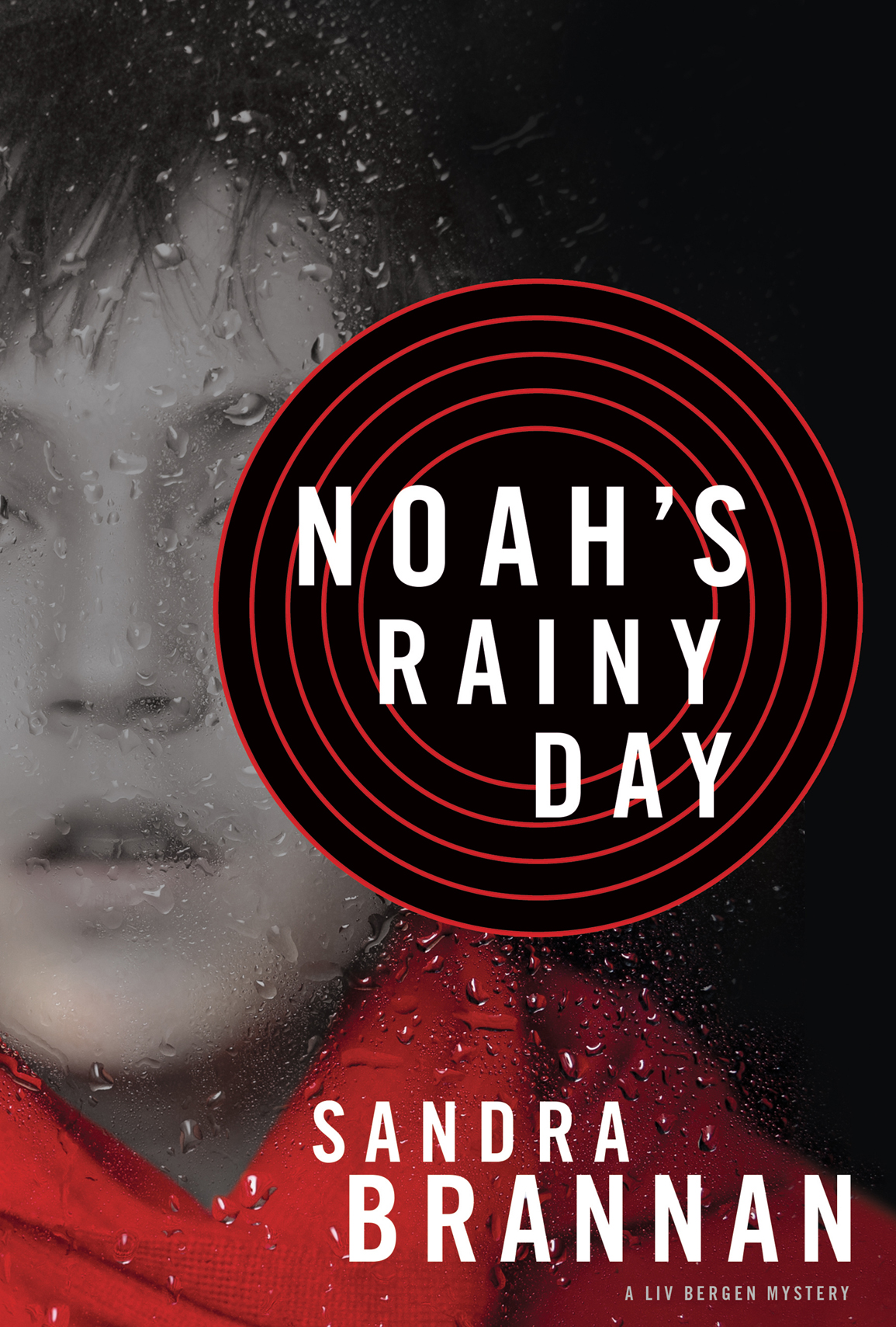 Noah's Rainy Day