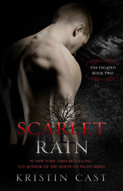 Scarlet Rain