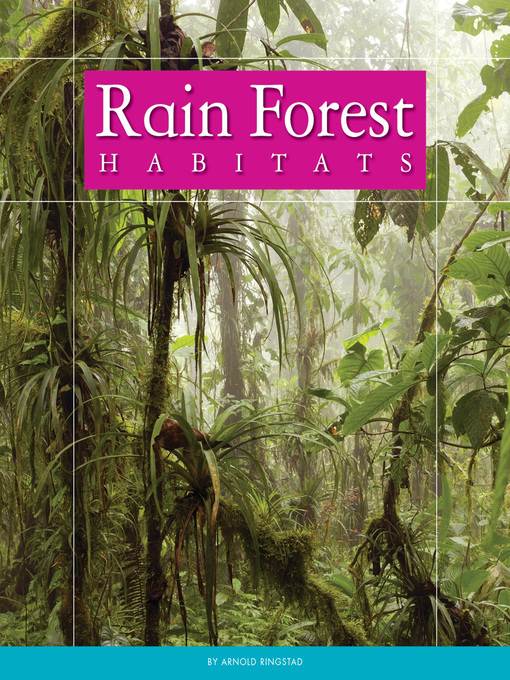 Rain Forest Habitats